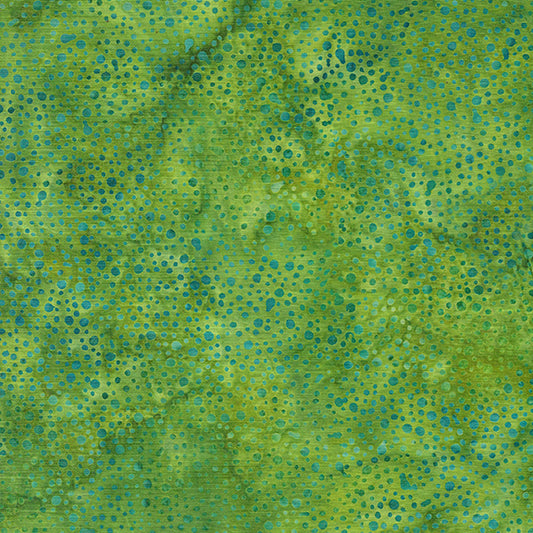Dots-Green Ivy 112250645 /  Baroque