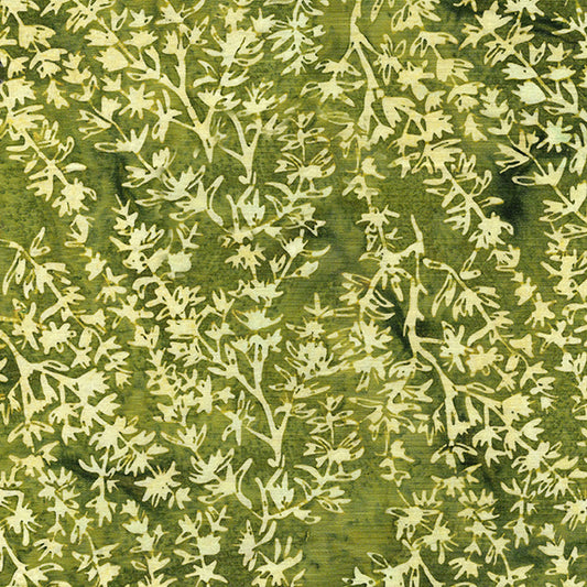 Earthly Green - 112321645 / Herb Bush-Green Ivy