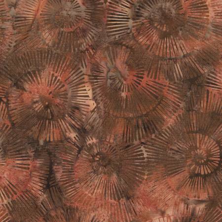 Earth Essence - Fossil Spiral-Brown Bronze Earth Essence