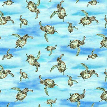 Turtle March - 1141 11