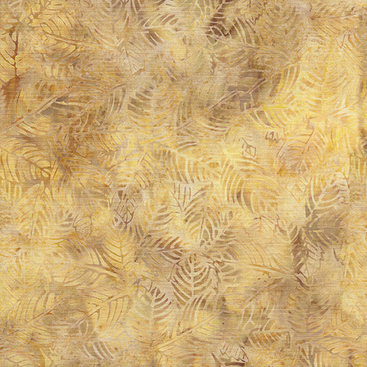 Evergreen and Pine - Leaves-Desert