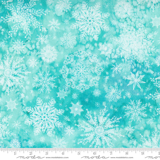 Aqua - Starflower Christmas