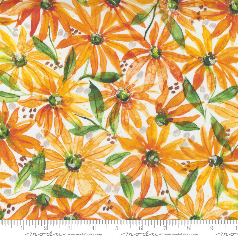 Fresh As A Daisy - Cloud Daisy