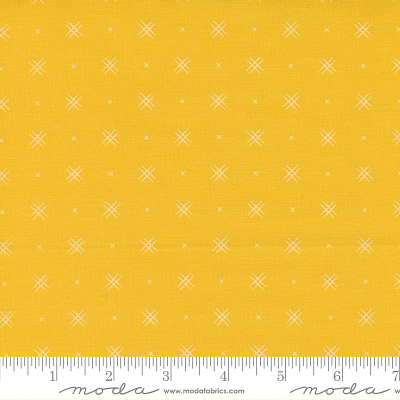 Beyond Bella Yellow