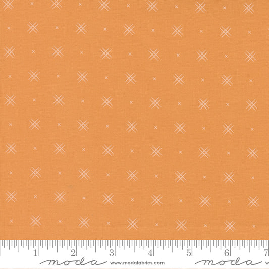 Beyond Bella Amelia Apricot