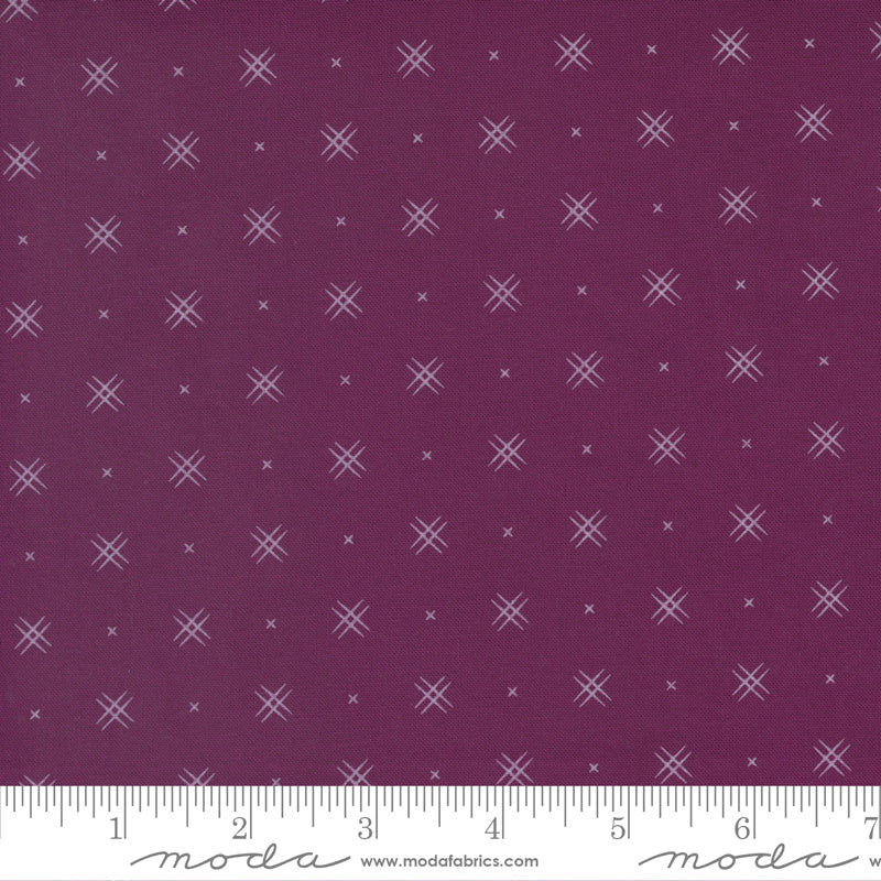Beyond Bella Boysenberry