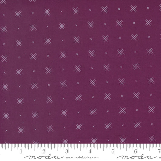 Beyond Bella Boysenberry