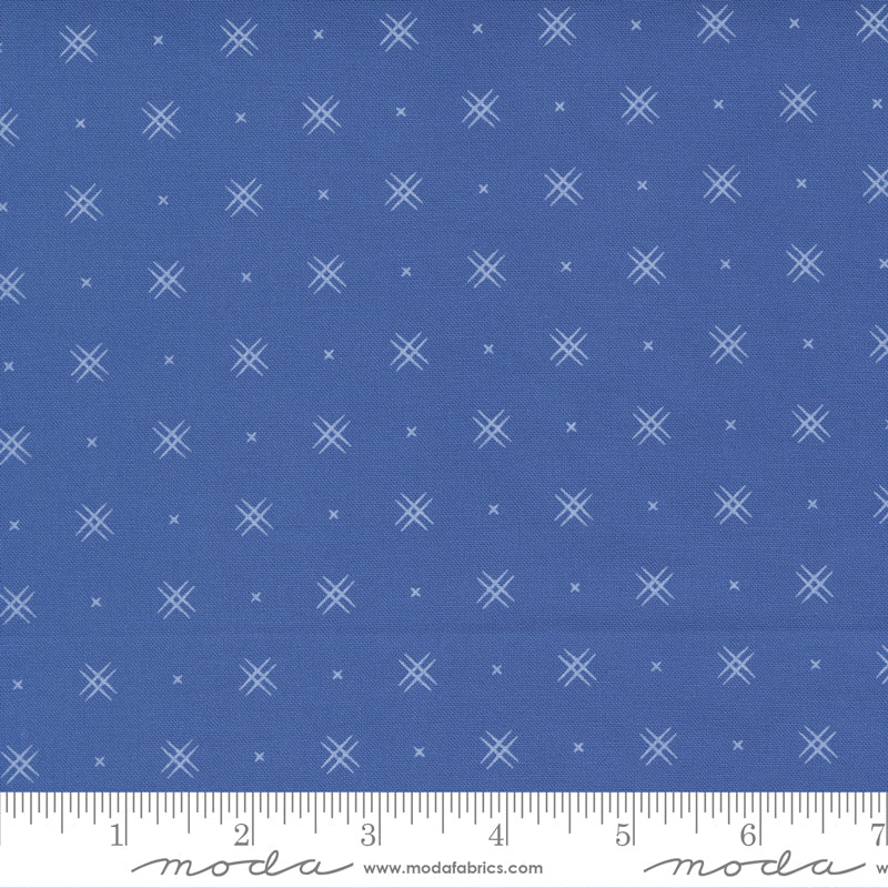 Beyond Bella Cobalt