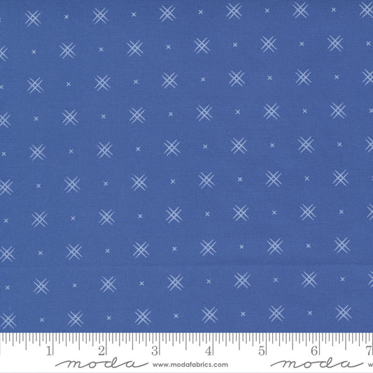 Beyond Bella Cobalt