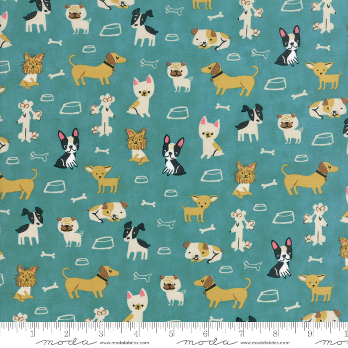 Woof Woof Meow Teal