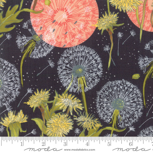 Dandi Annie Charcoal 48630 12