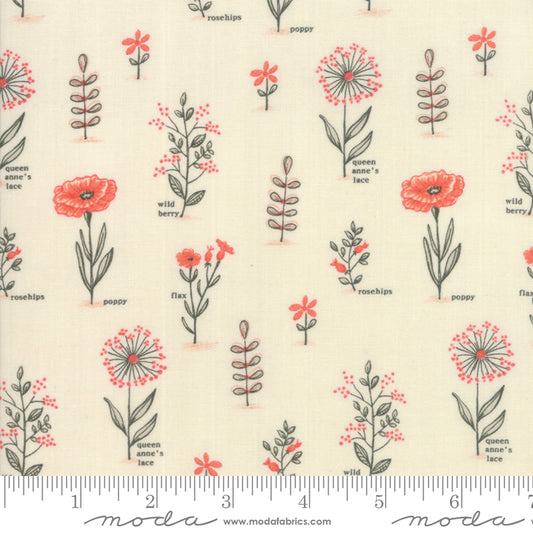 Le Pavot Cloud Poppy