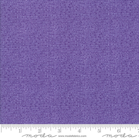 Thatched - Aster