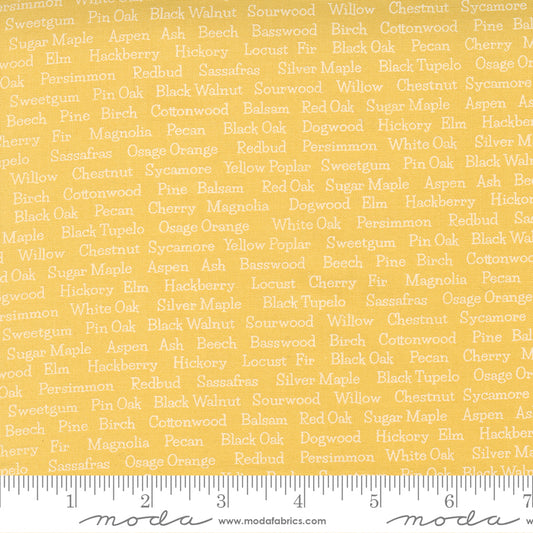 Cozy Up Sunshine by Moda
