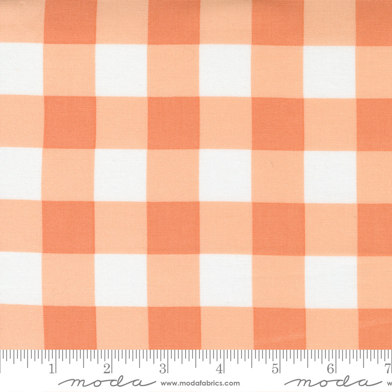 Cozy Up Cinnamon by Moda