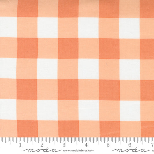 Cozy Up Cinnamon by Moda