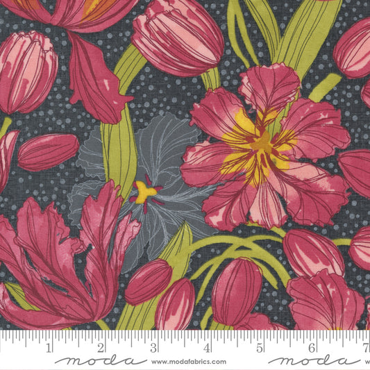 Tulip Tango  - Shadow