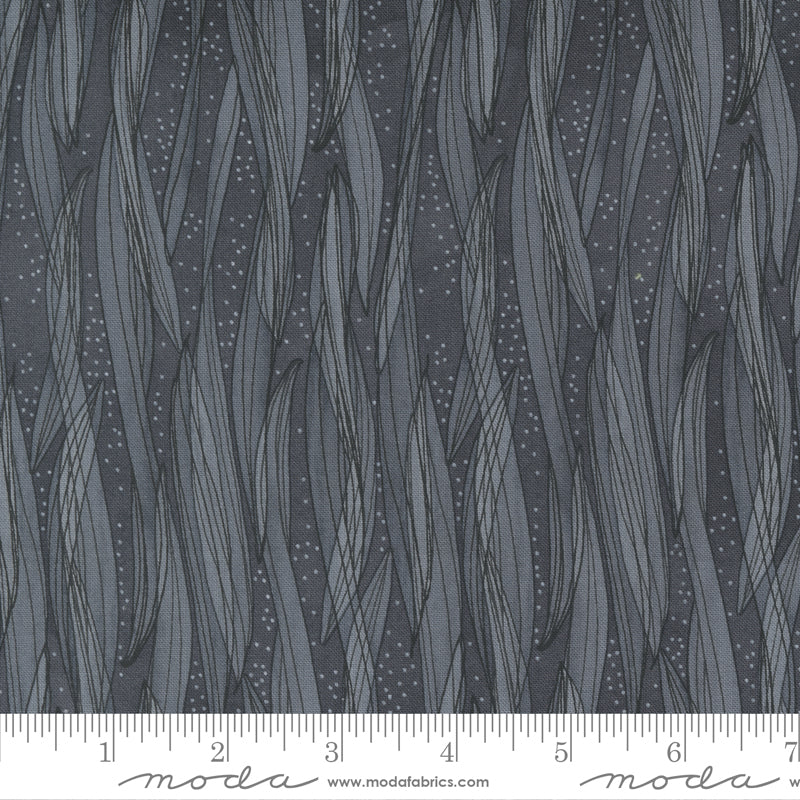 Tulip Tango  - Shadow
