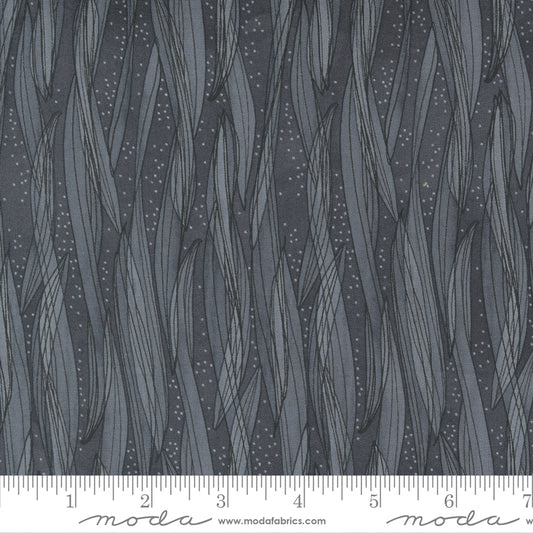 Tulip Tango  - Shadow