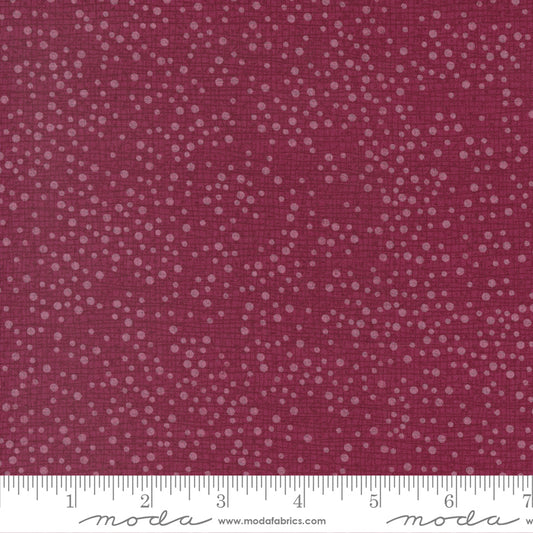 Tulip Tango  - Cranberry