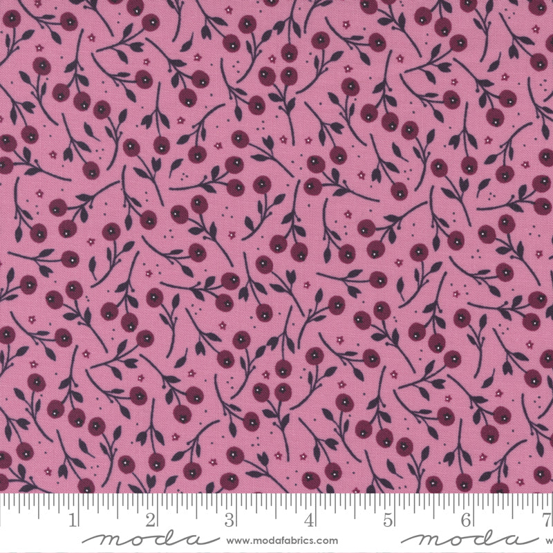 Wild Meadow Sweet Pea 43133 16