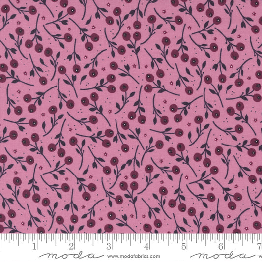 Wild Meadow Sweet Pea 43133 16