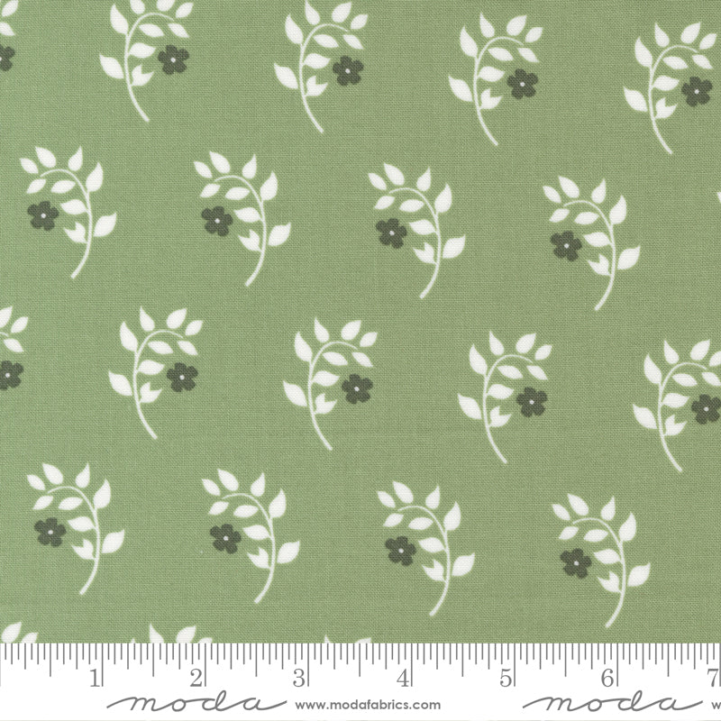 Dwell Homebody Grass