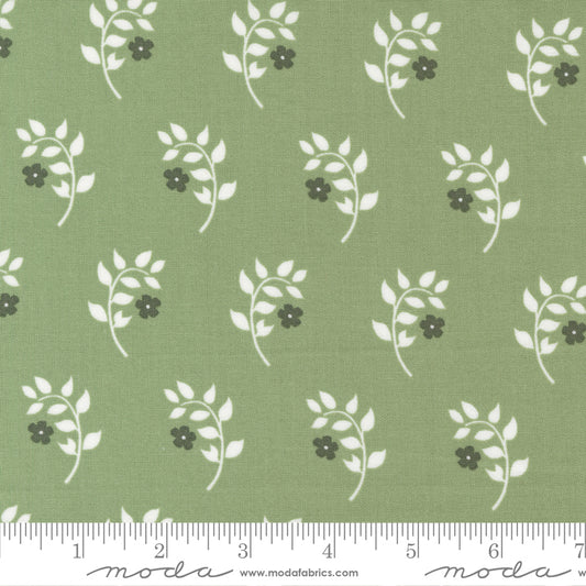 Dwell Homebody Grass