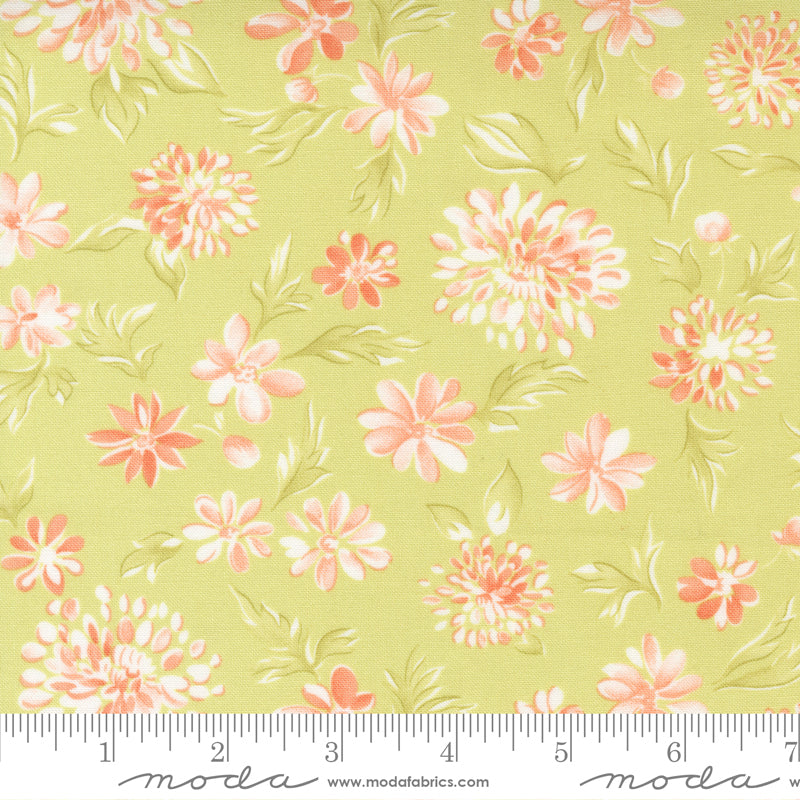 Cinnamon Cream Sprout 20451 17