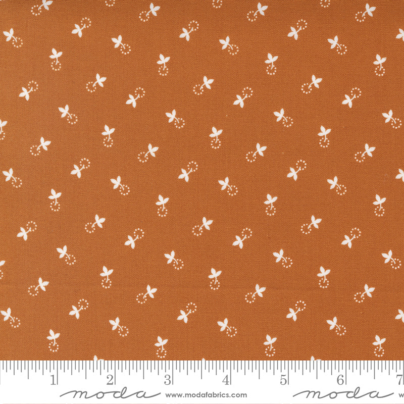 Cinnamon Cream Cinnamon 20456 12