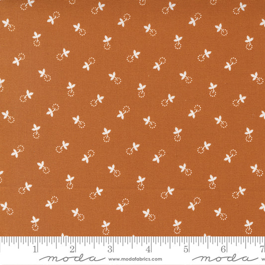 Cinnamon Cream Cinnamon 20456 12