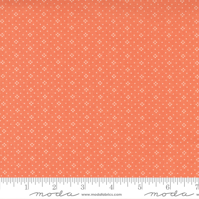 Cinnamon Cream Coral 20457 28