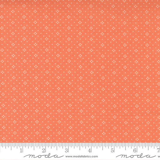 Cinnamon Cream Coral 20457 28