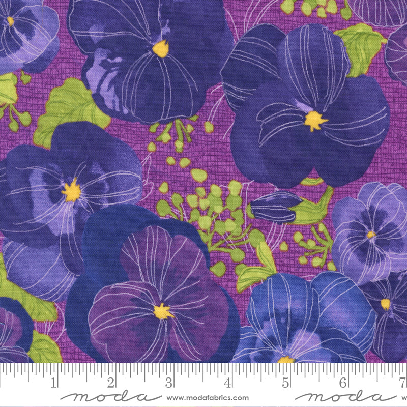 Pansys Posies Plum 48720 14