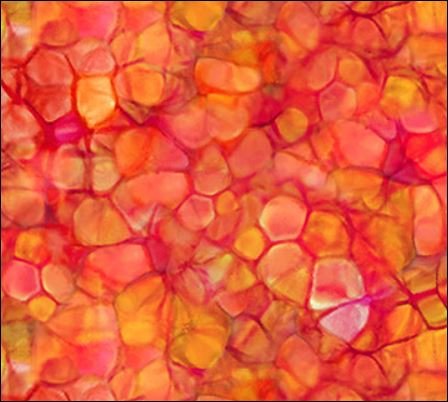 Creation Red Multi BUBBLE TEXTURE  DP25023-24