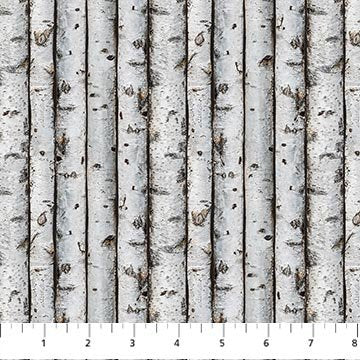 Naturescapes First Light - Birch Trees