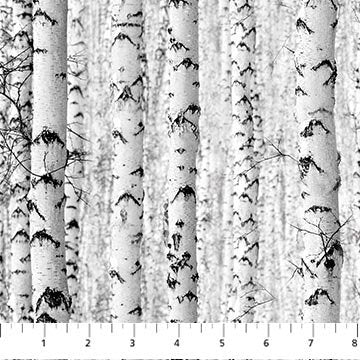 Naturescapes Solitude - Birch Trees (Grey)