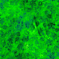 FLOURISH - STUCCO LEAF BLENDER Green  1649-29336-G - QT Fabrics