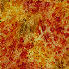FLOURISH - STUCCO LEAF BLENDER Orange - 1649-29336-T - QT Fabrics