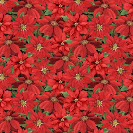Season of Heart Black Poinsettia
