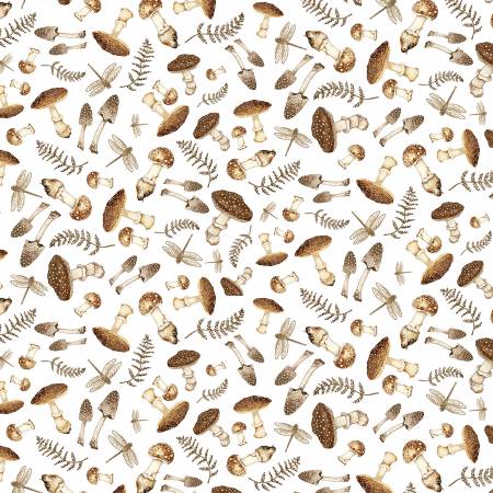 Little Ones - Multi Mushroom Toss
