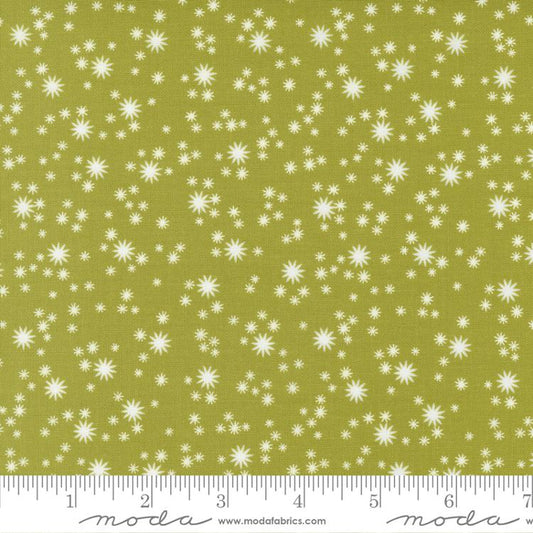 Joyful Joyful Field 20807 23 Moda #1