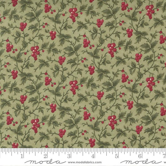 Poinsettia Plaza  - Sage 44294 13