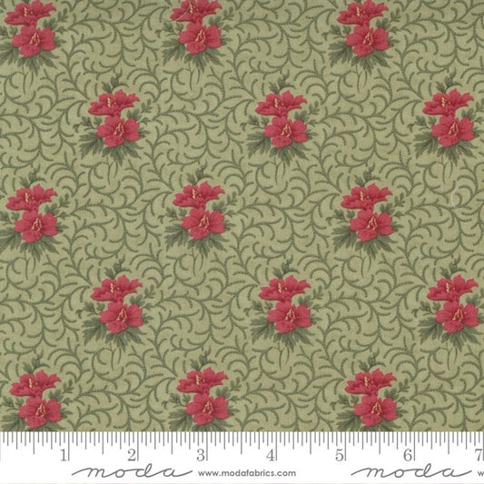 Poinsettia Plaza  - Sage 44295 13