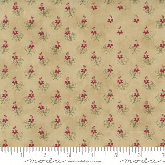 Poinsettia Plaza  - Parchment 44297 21