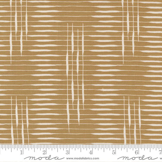 Slow Stroll Golden  - 45545 16