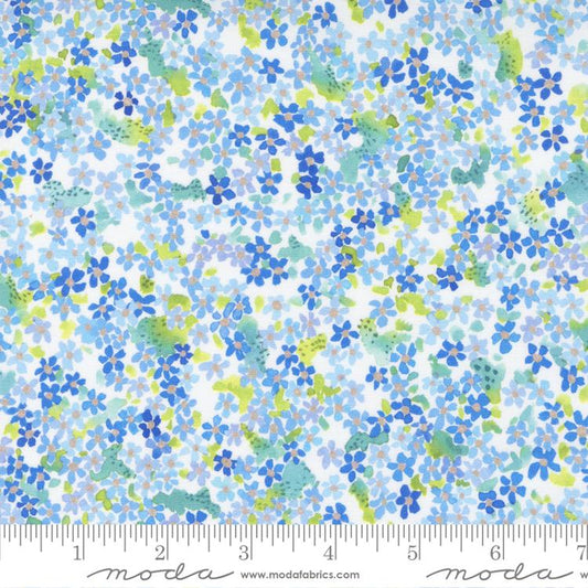 Eufloria Sky 39746 13