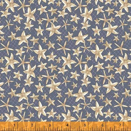 Sea and Shore - Starfish