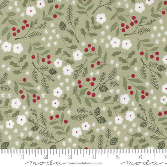 Christmas Eve Sage 5181 14