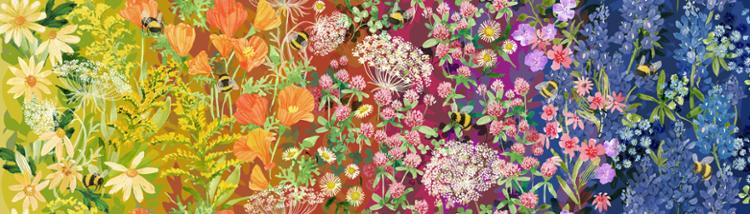 Wild Blossoms Rainbow 48730 11
